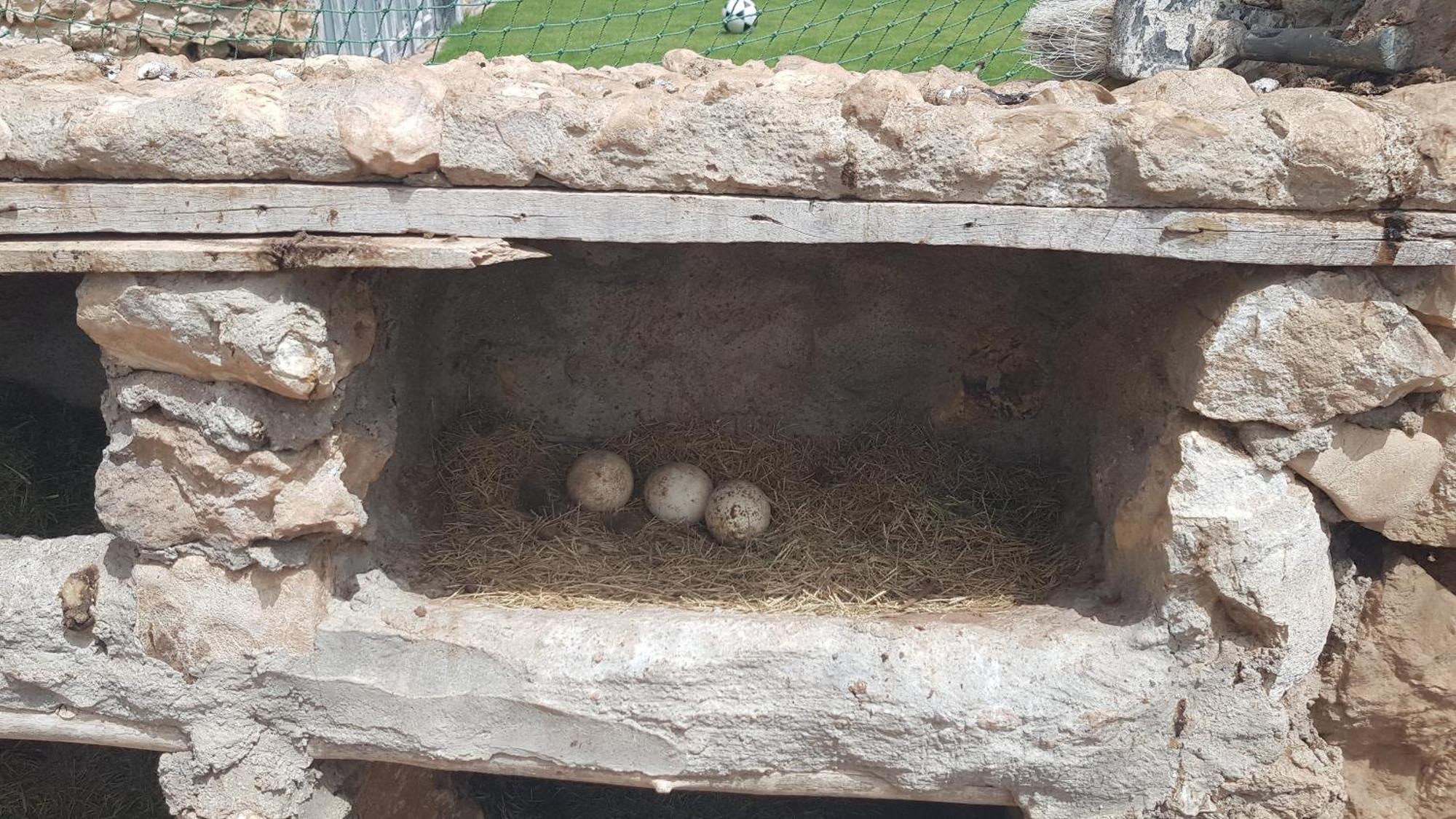 Ferme Avec Piscine Privee Vakantiehuis Agadir