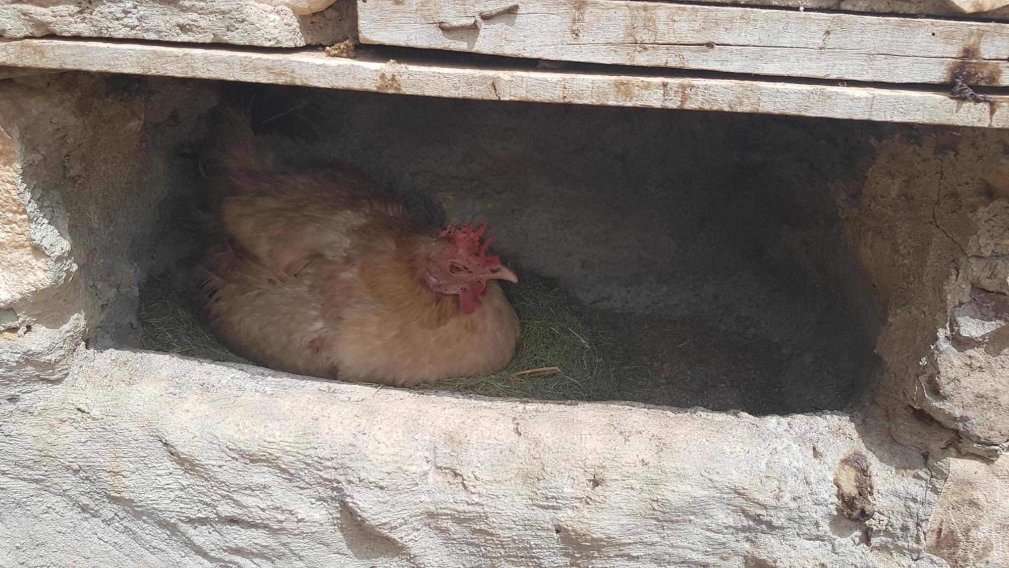 Ferme Avec Piscine Privee Vakantiehuis Agadir
