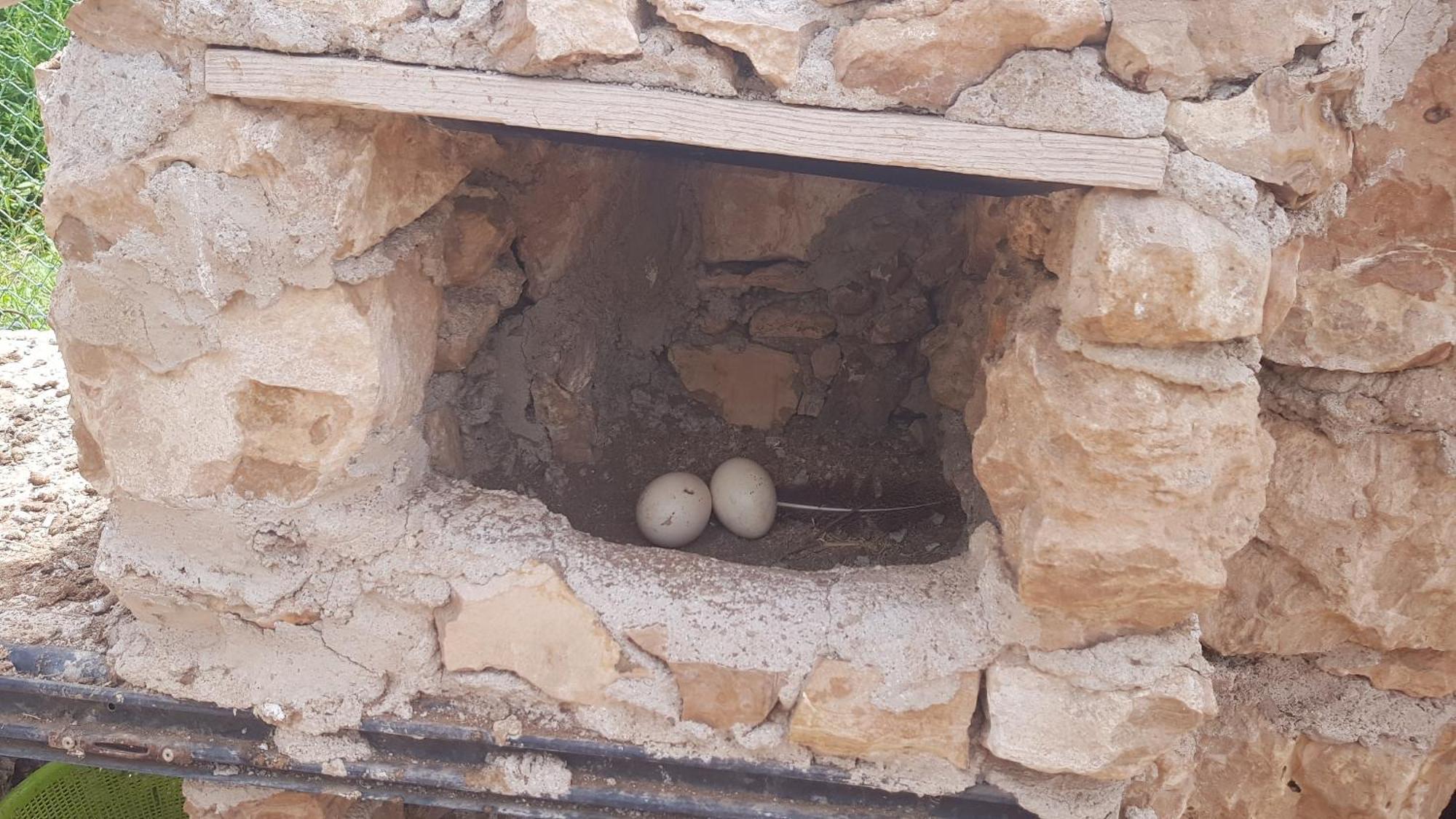 Ferme Avec Piscine Privee Vakantiehuis Agadir