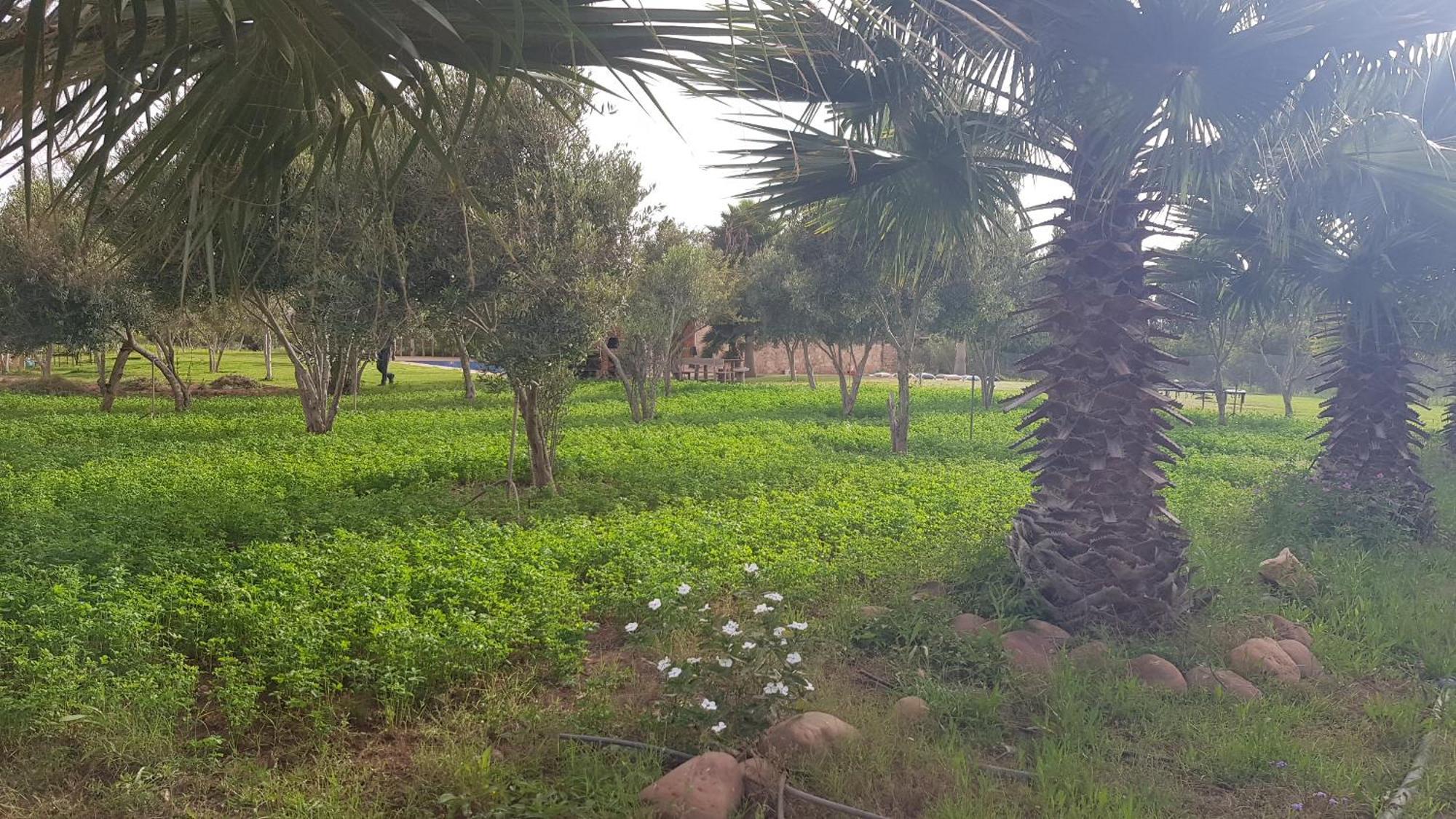Vakantiehuis Ferme Avec Piscine Privee Agadir