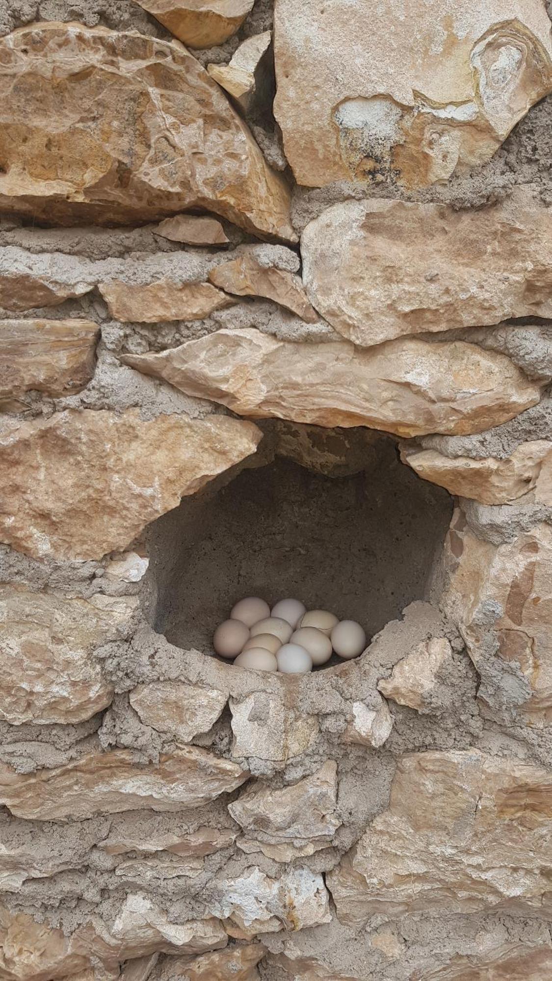 Vakantiehuis Ferme Avec Piscine Privee *